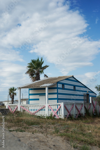 view of wooden hut and palm tree on the beach in Gruissan in France © pixarno