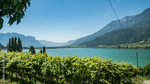 Blick auf den Kalterer See in Südtirol photo
