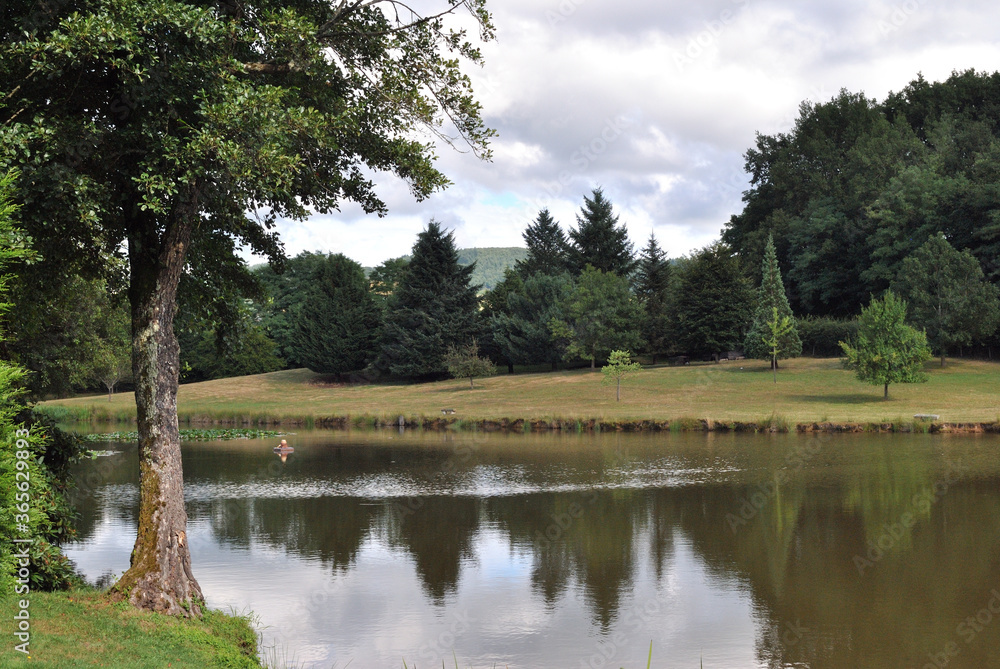 Obraz premium Woodland Scene with Trees & Large Pond with Reflections 