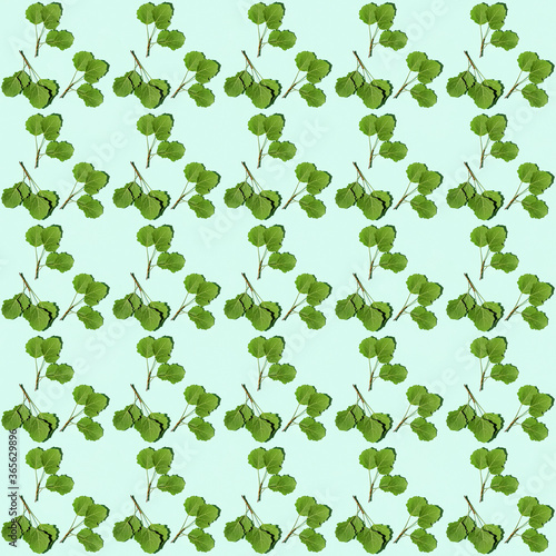 Seamless regular creative pattern with green twigs with aspen leaves.