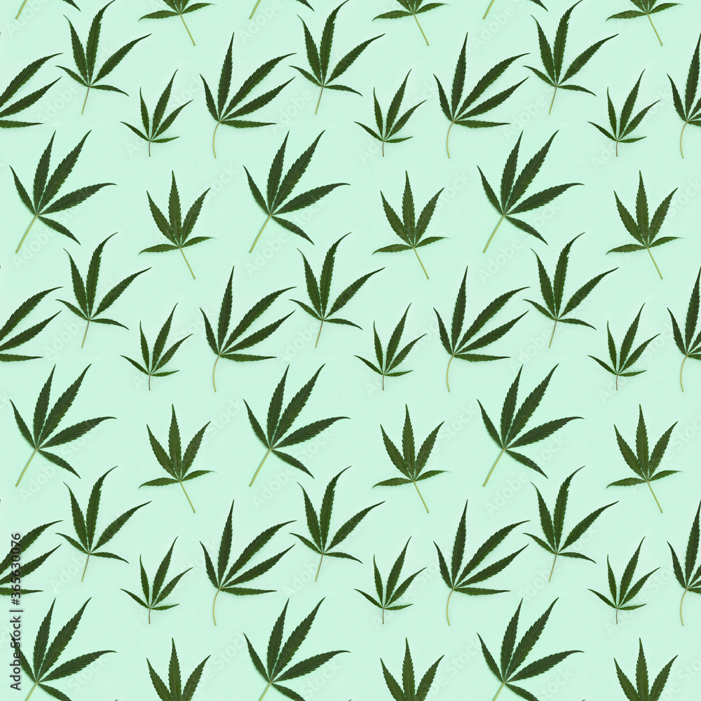 Fototapeta premium Seamless pattern Cannabis Leaves. Printing on fabric, wrapping paper.