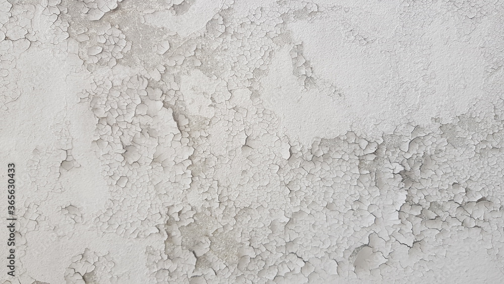 White Grunge Cement Wall Texture Background. White Grunge Cement Wall Texture Background.