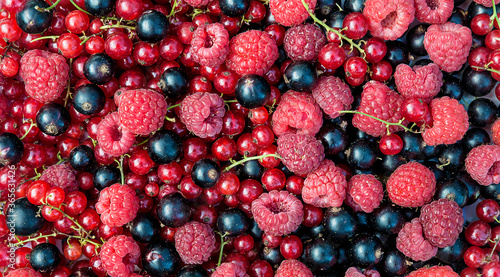 Beautiful background of ripe raspberries, currants and black gooseberries. Healthy eating concept