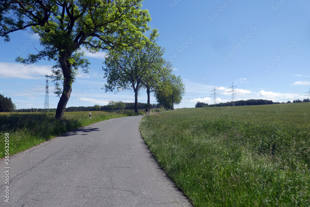 Fototapeta premium Straße zwischen Altengesees und Lothra