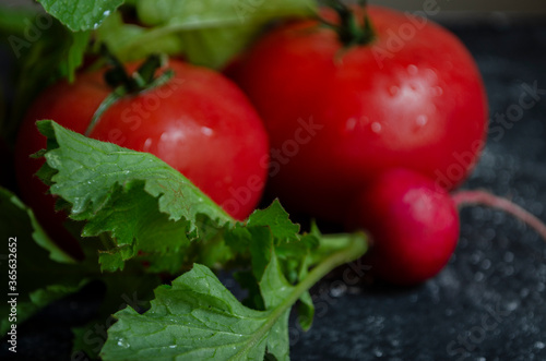 radish with tomatoes on a black background