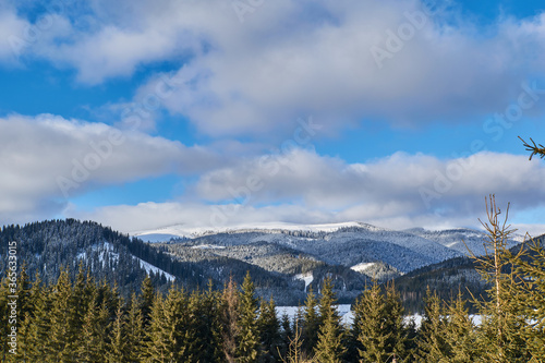Winter landscape from the mountain with lake  fir forest  snow and blue sky with clouds