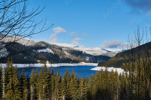 Winter landscape from the mountain with lake, fir forest, snow and blue sky with clouds © Ovidiu
