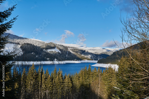 Winter landscape from the mountain with lake, fir forest, snow and blue sky with clouds © Ovidiu