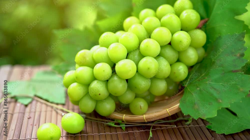 Green grape in Bamboo basket on wooden table in garden, Shine Muscat Grape with leaves in blur background Green grape in Bamboo basket on wooden table in garden, Shine Muscat Grape with leaves in blur background