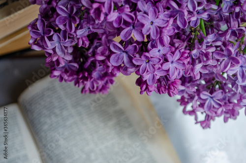 bouquet of lilacs on the table with books