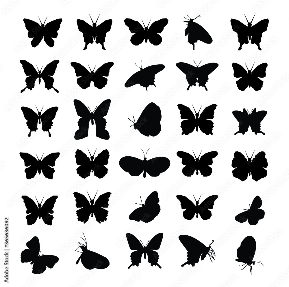 Fototapeta premium Butterfly icons - vector