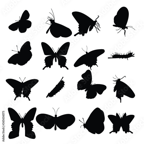 Butterfly icons  - vector © The Mumus
