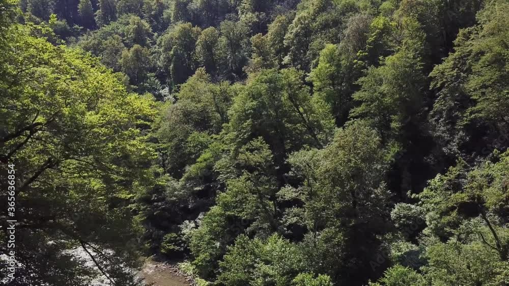 Small mountain river in canyon with green forest Small mountain river in canyon with green forest