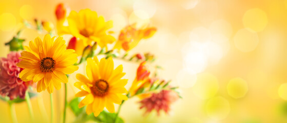 Beautiful autumn flowers on yellow blurred background. Dahlia, daisy,  sunflowers. Panorama, banner with copy space