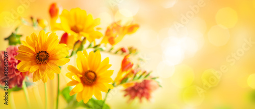 Fototapeta Naklejka Na Ścianę i Meble -  Beautiful autumn flowers on yellow blurred background. Dahlia, daisy,  sunflowers. Panorama, banner with copy space