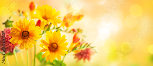 Beautiful autumn flowers on yellow blurred background. Dahlia  daisy   sunflowers. Panorama  banner with copy space