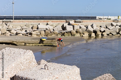 Pesaro, Italy - 9 july 2020: a man is collecting clams on the shore near an oar and a sup board