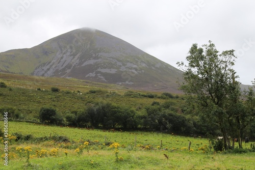 The Holy Mountain Croagh Patrick viewed from the start of the summit walk in Murrisk, County Mayo, Ireland. photo