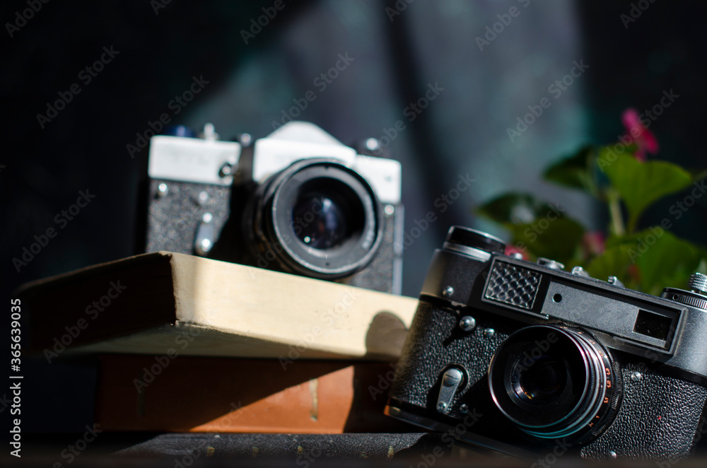 vintage camera on the table with books