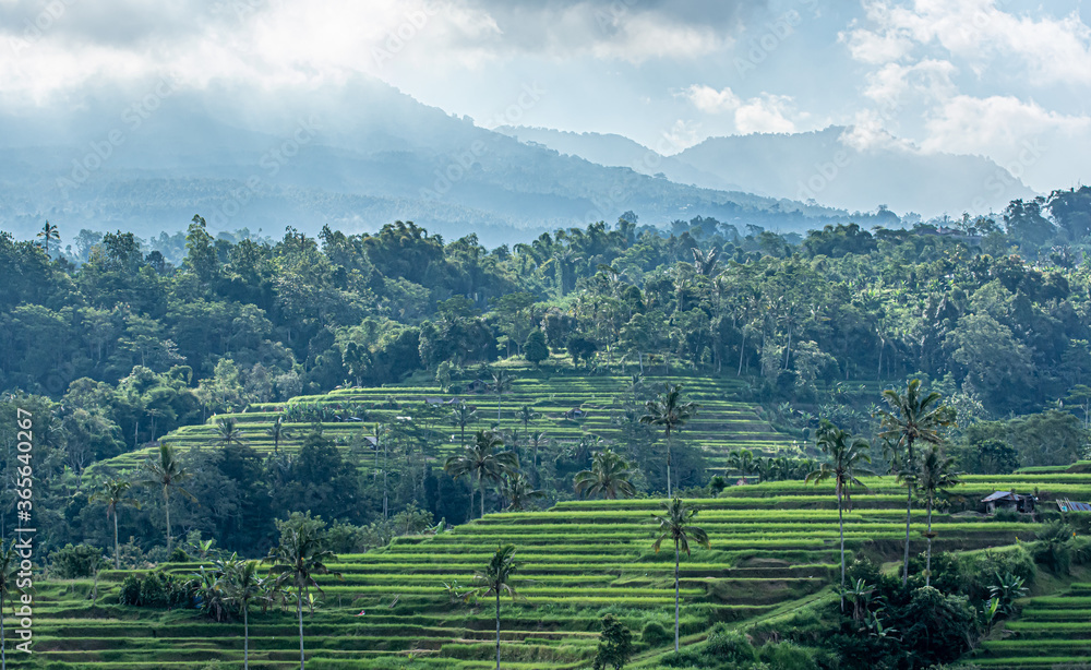 landscape in the mountains