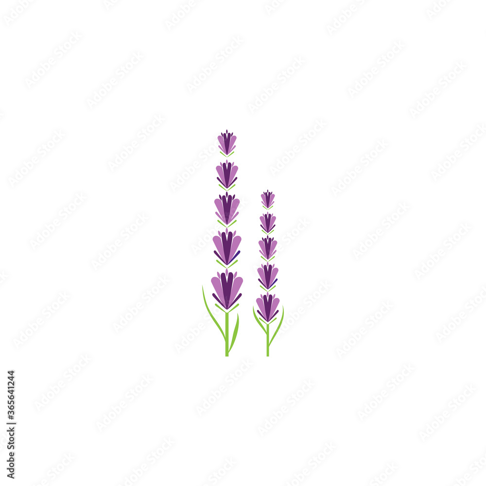 Lavender Logo Template vector symbol Lavender Logo Template vector symbol