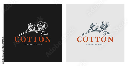 Hand drawn cotton illustration. Beautiful image for logo