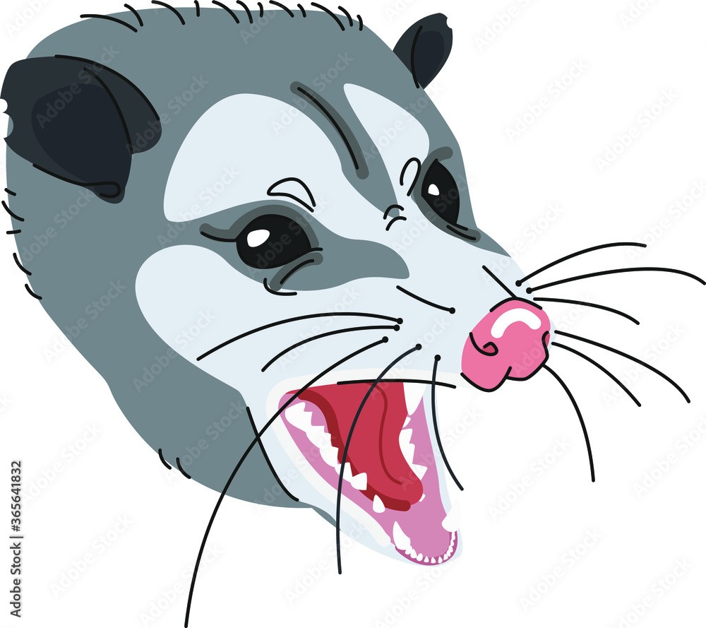 Photo & Art Print Angry wild opossum screaming and growling vector ...