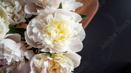 Beautiful and lush white peonies in a vase on a black background,