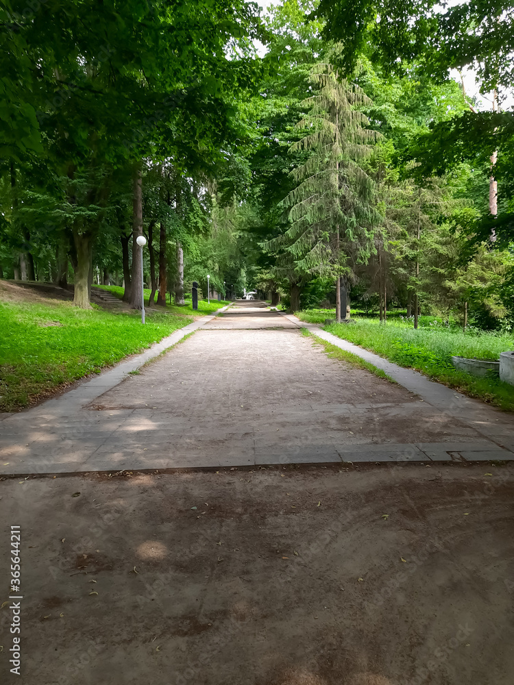 Walking path in the park.