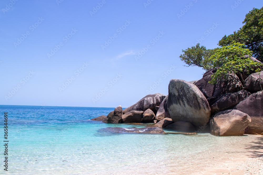 tropical island with trees and boulders