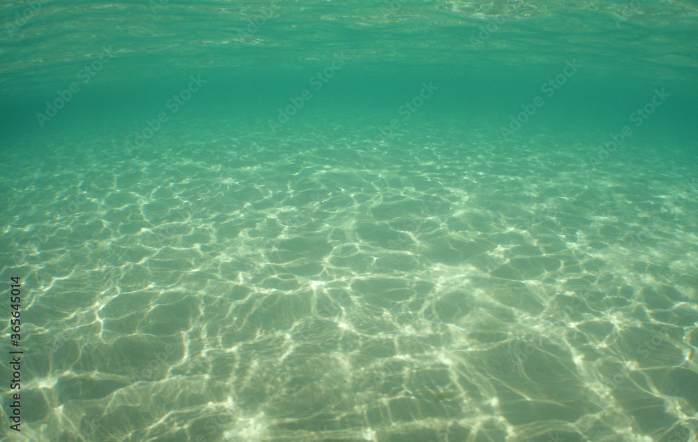 underwater sea pool caribbean sea Venezuela underwater sea pool caribbean sea Venezuela