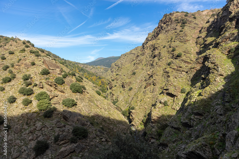 mountainous landscape with trees and bushes