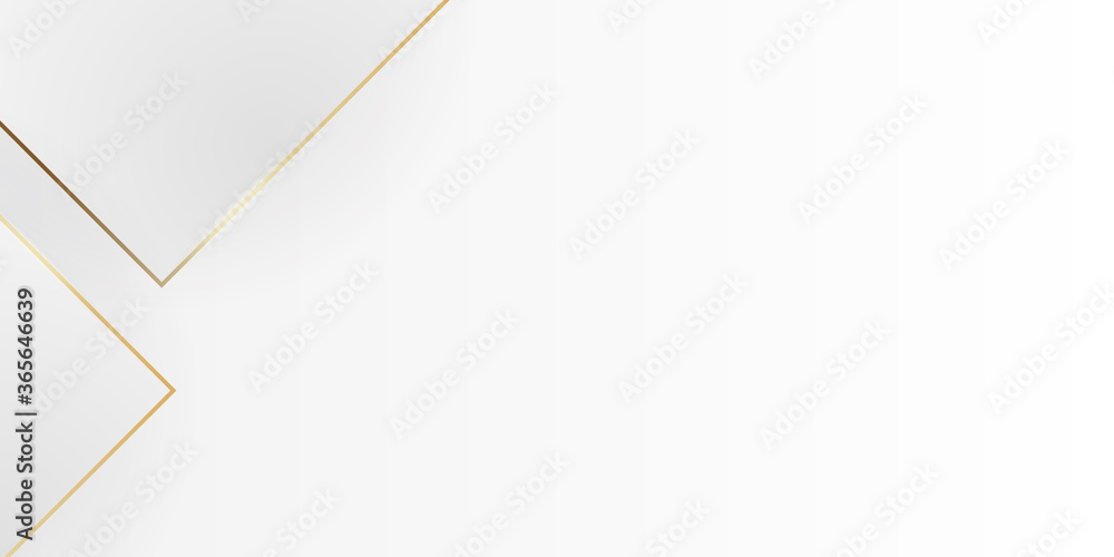 White abstract modern background design with gold lines. Used for presentation poster, template on web, backdrop.