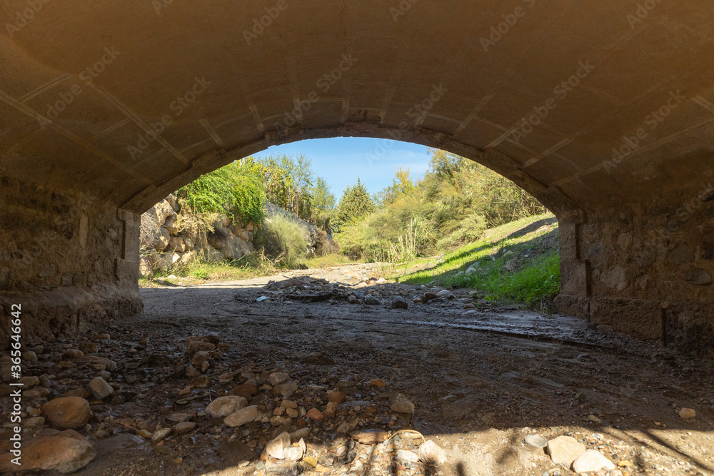 Obraz premium vegetated stream on the bank crossing a bridge
