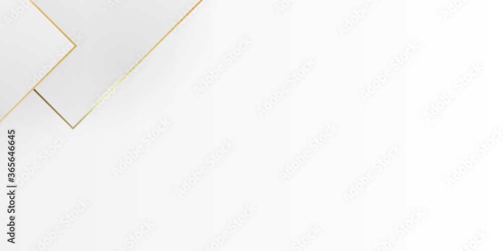 White abstract modern background design with gold lines. Used for presentation poster, template on web, backdrop.