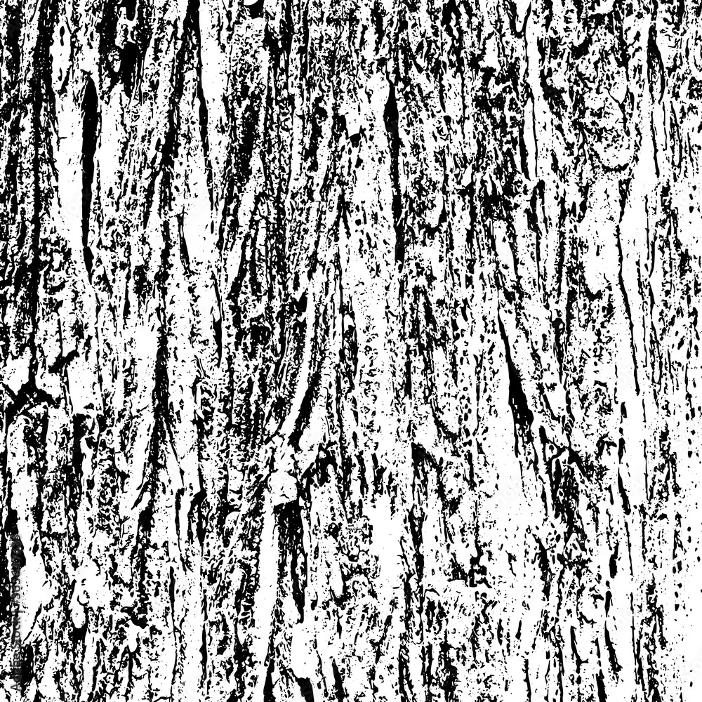Grunge black and white. Texture of scratches, dust, dirt, chips, scuffs. Abstract monochrome background Grunge black and white. Texture of scratches, dust, dirt, chips, scuffs. Abstract monochrome background