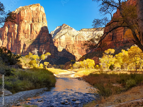 fall in the zion nationalpark