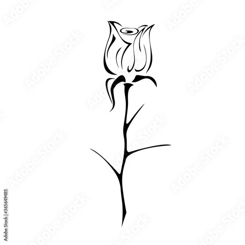 ornament 1233. one stylized rose Bud on a stem with spikes black lines on a white background