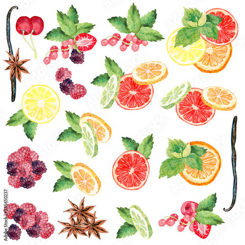 Fototapeta Naklejka Na Ścianę i Meble -  set of individual elements on a white background, fruit compositions, spices, berries