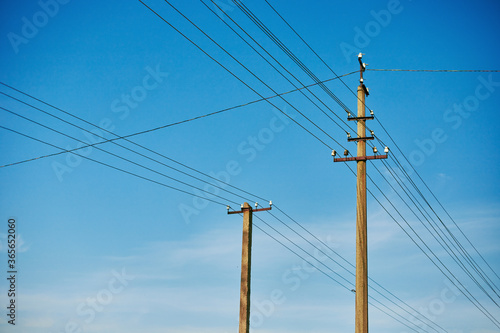 Closeup of old power poles on a clear summer day.
