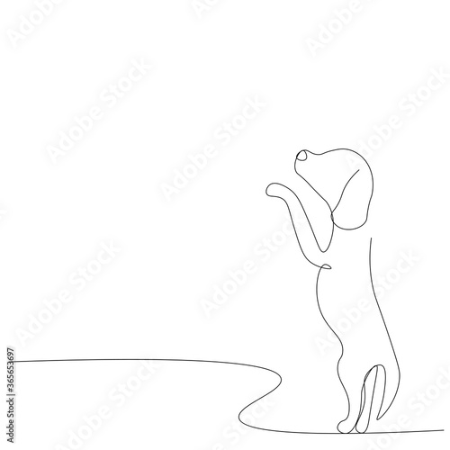 Cute puppy on white background line drawing. Vector illustration