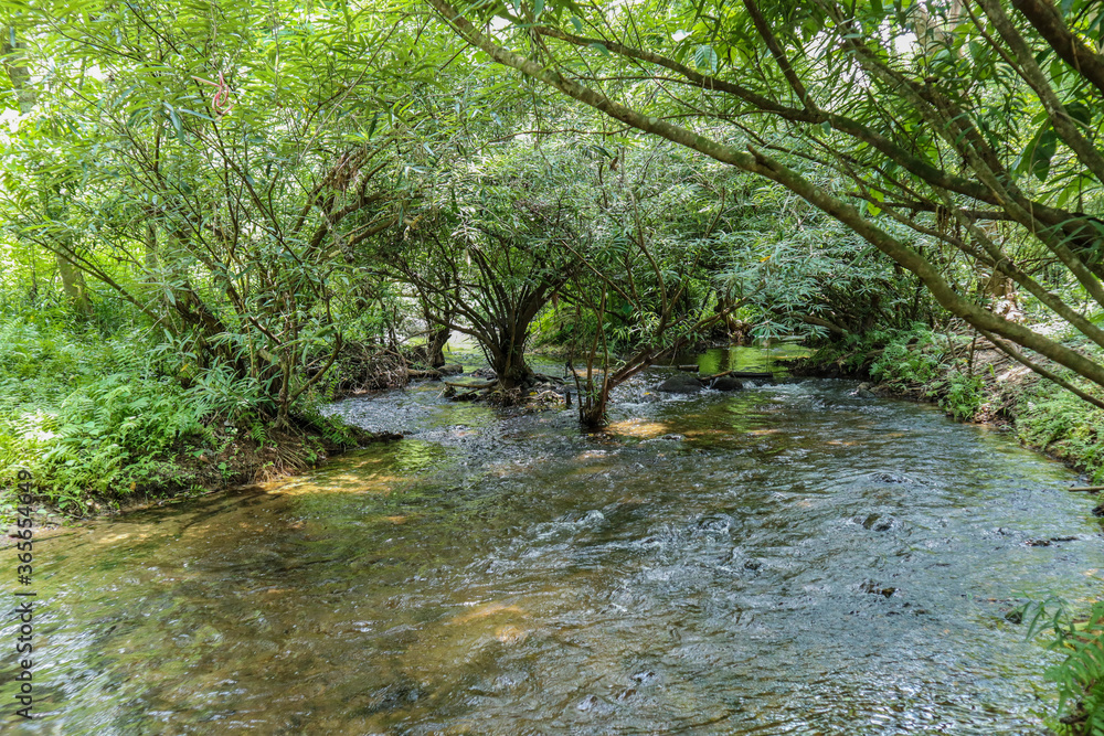 Obraz premium Canal Water and Towpath With Green Trees and Vegetation