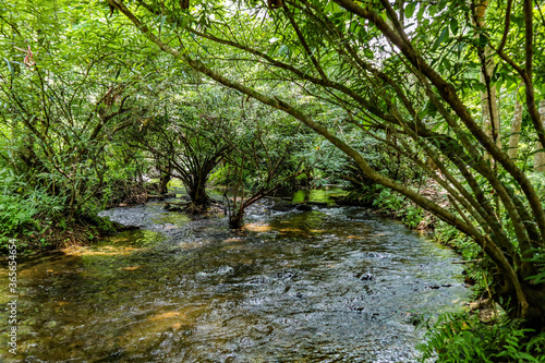 Canal Water and Towpath With Green Trees and Vegetation