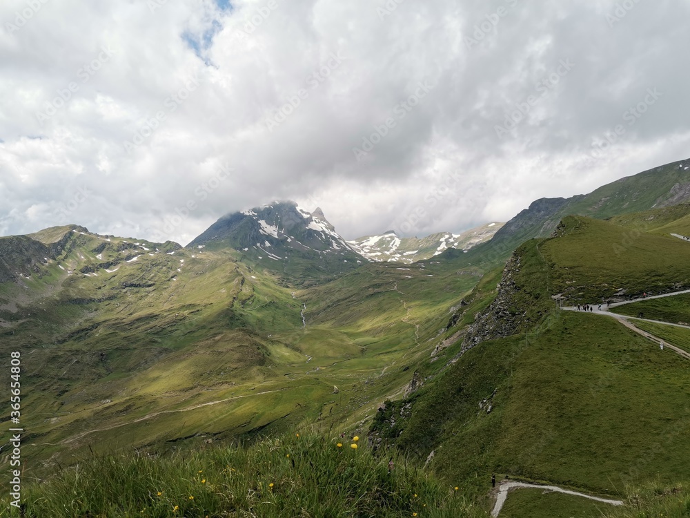 mountain view Grindelwald