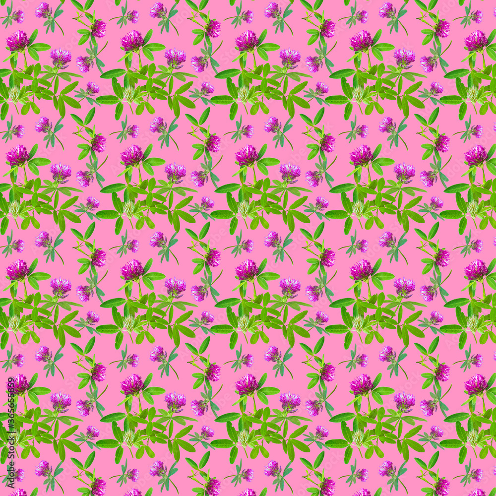 Red clover with green foliage pattern on a pink background, colorful summer wild flower ornament Red clover with green foliage pattern on a pink background, colorful summer wild flower ornament
