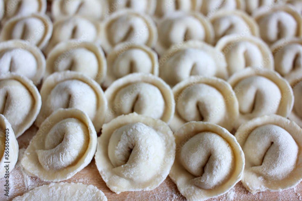 Close up of a row of homemade dumplings with meat. Process of cooking at home. Top view, selective focus Close up of a row of homemade dumplings with meat. Process of cooking at home. Top view, selective focus