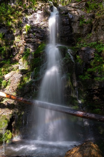 Breathtaking shot taken at Chalal Trek Trail forests in Sosan India photo