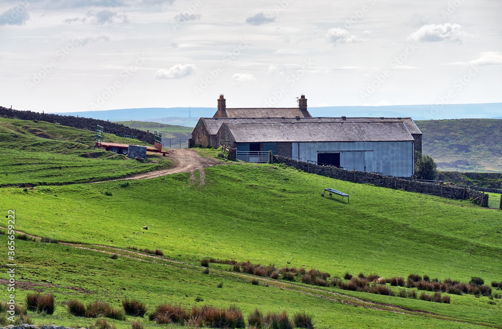 A rural farmhouse on a slope in Northumberland