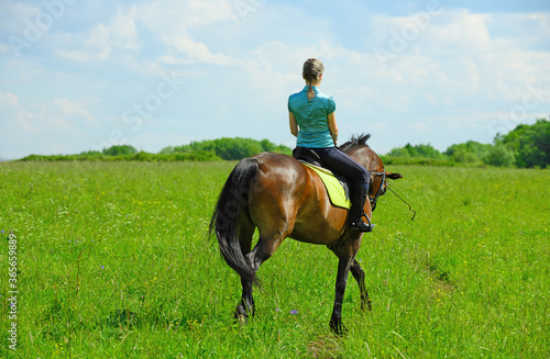 One Caucasian horsewoman is walking through the field, back view. © Ирина Орлова