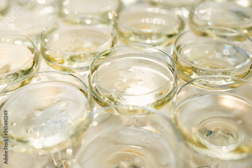 Glasses of alcohol close- up before a party in a cafe